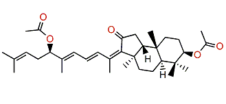 Stelliferin E